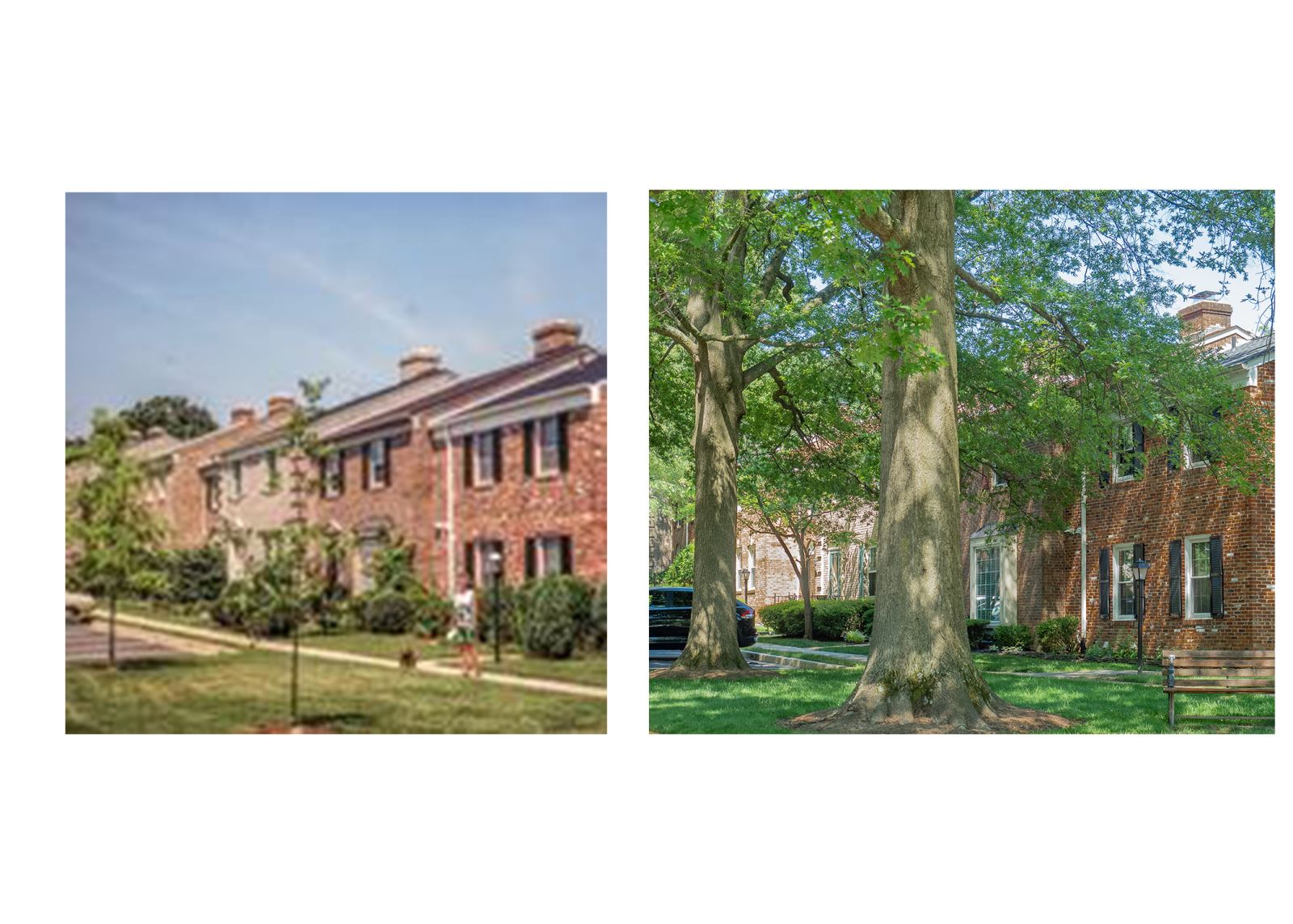 Stonehurst HOA Stonehurst turns 50!!!